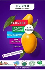 organic keri mango