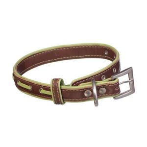 Pet Collar