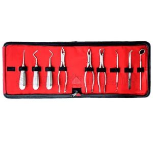 Dental Elevator Set