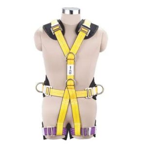 Full Body Harness