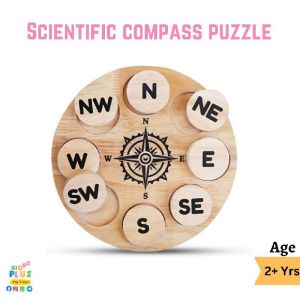 Scientific compass puzzle