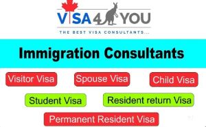 Immigration Consultants