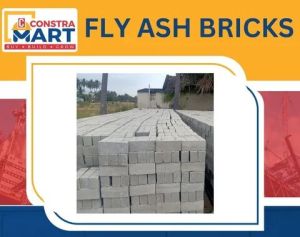 Fly Ash Bricks