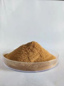 ginseng extract powder