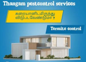 Pest Control Services