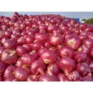 A Grade Fresh Red Onion