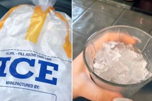 ice bags