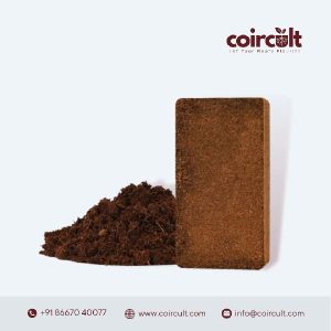 Coco Peat Briquette