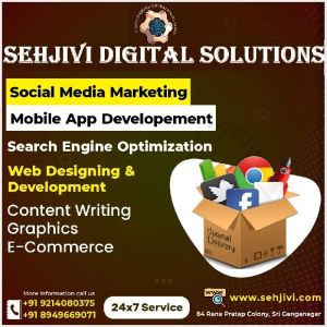 Search Engine Optimization Services