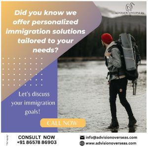 Business Immigration Service