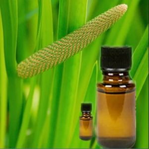 Calamus Essential Oil