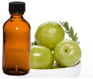 Cold Pressed Amla Seed Oil