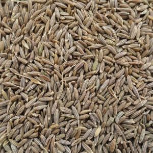 Cumin Seeds