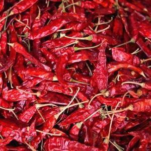 Dried Red Chilli