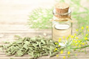 Fennel Oil