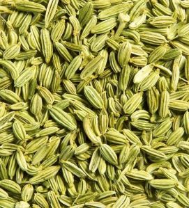 Fennel Seeds