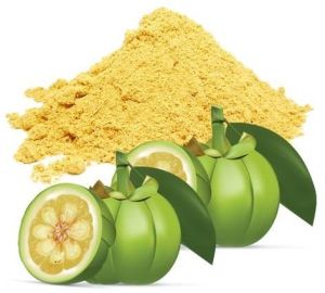 Garcinia Extract