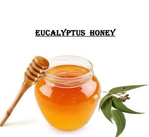 Natural Eucalyptus Honey