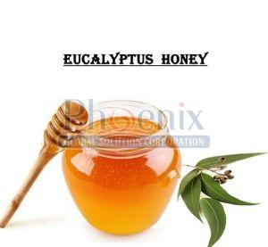 Natural Eucalyptus Honey