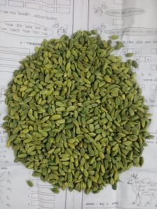 Cardamom