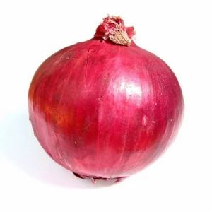 Fresh Organic Onion