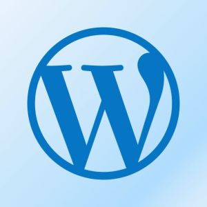 Wordpress Website Design Services
