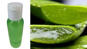 Aloe Vera Shampoo