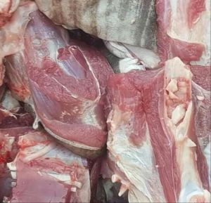 Halal Frozen Goat Meat