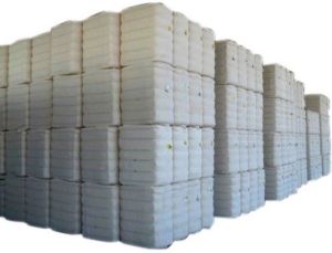 Raw Cotton Bale