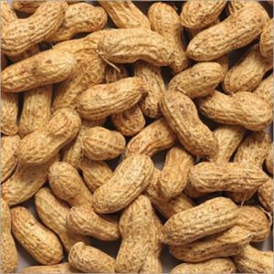 Organic Red Skin Peanuts