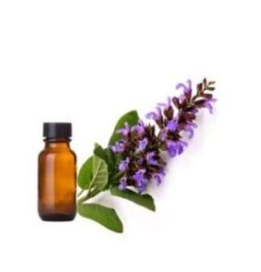 Clary Sage Essential Oil