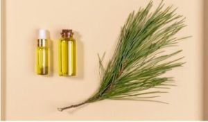 Dill Essential Oil