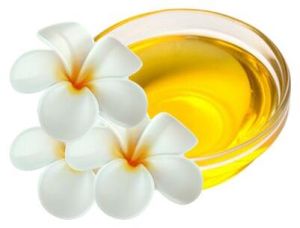 frangipani essential oil