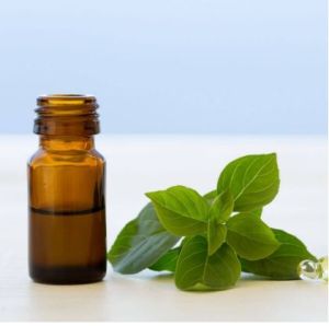 Pure Basil essential oil