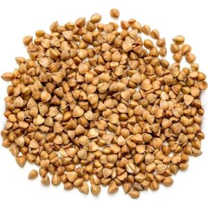 1836 Buckwheat Seeds
