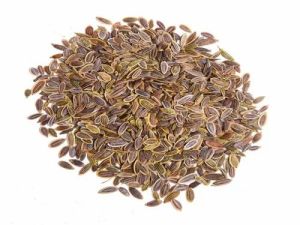 1836 Dill Seeds