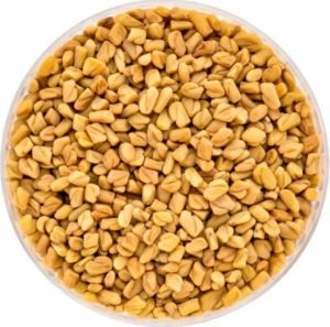 1836 Fenugreek Seeds