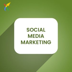 Social Media Marketing Service