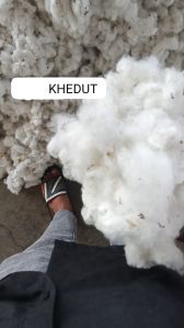 raw cotton