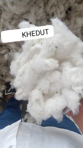 raw cotton