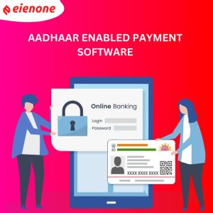 Aadhaar Enabled Payment System API