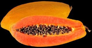 Papaya Juice Powder