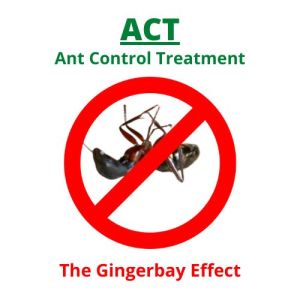 Ants Control Services