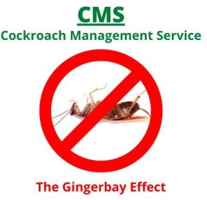 Cockroach Pest Control Services