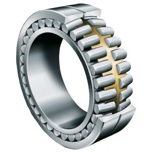 double row cylindrical bearing