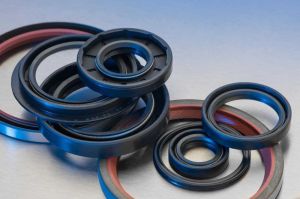 oil seals