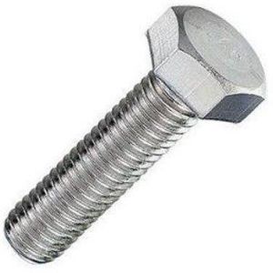 Stainless Steel Bolt