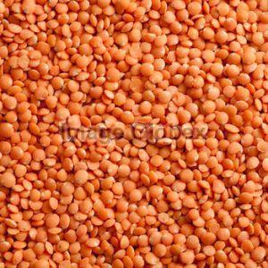 Indian Pulses