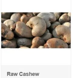 Raw Cashew
