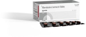 Albendazole Ivermectin tablets